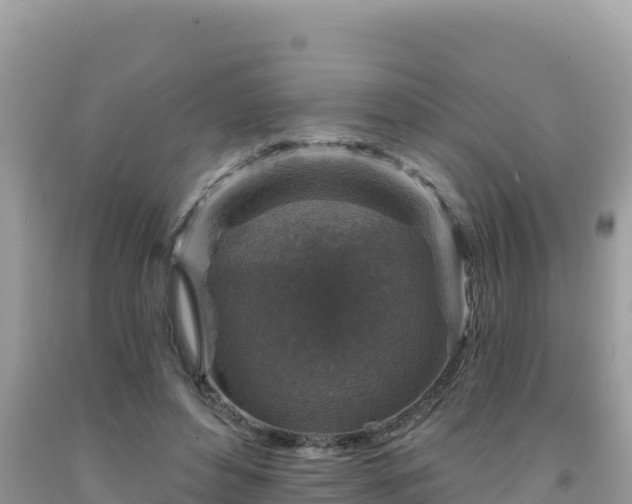 X0000092030496200709131622