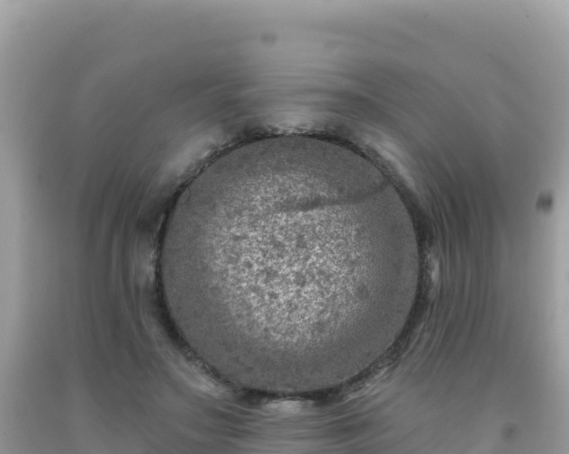 X0000092030499200709131622