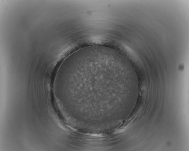 X0000092030500200709131622