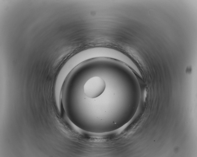 X0000092030501200709131622