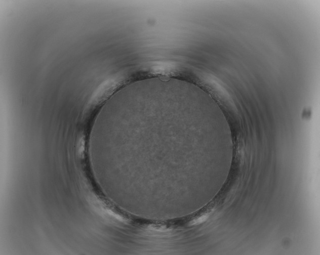 X0000092030502200709131622