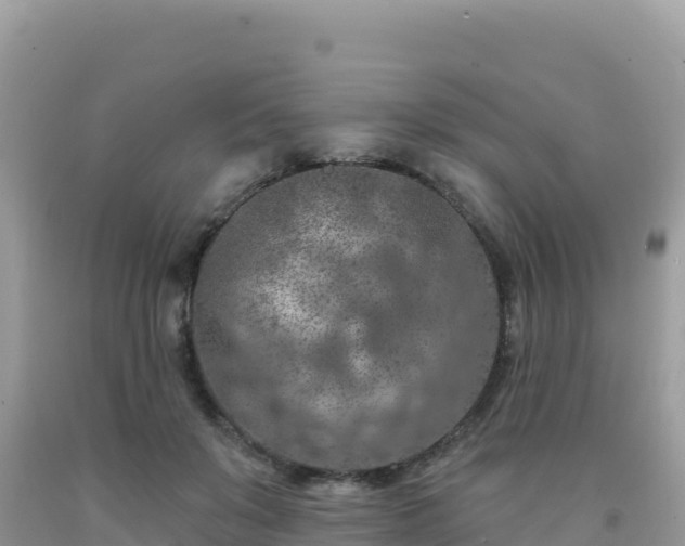 X0000092030503200709131622