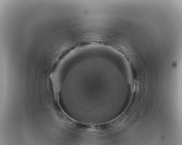 X0000092030504200709131622