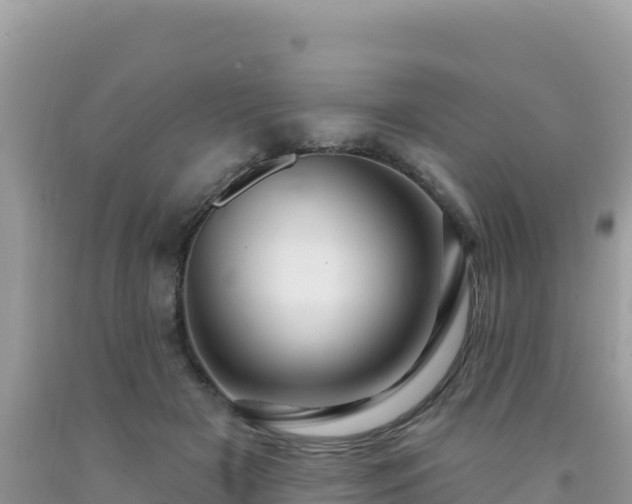 X0000092030505200709131622