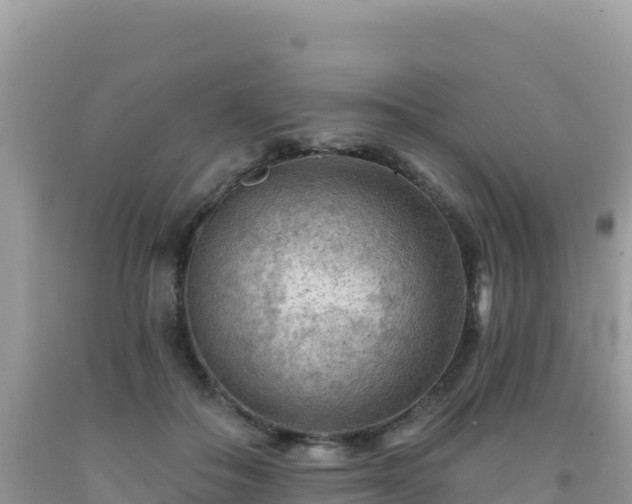 X0000092030506200709131622