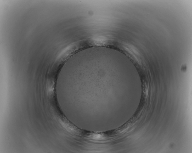 X0000092030507200709131622