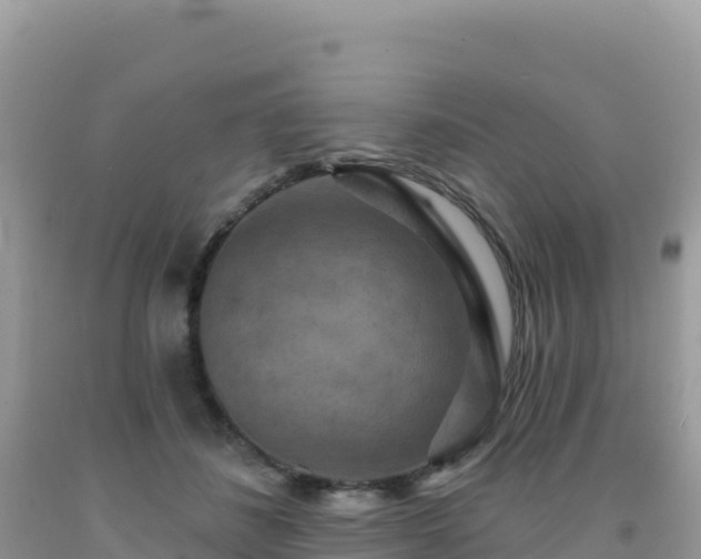 X0000092030508200709131622