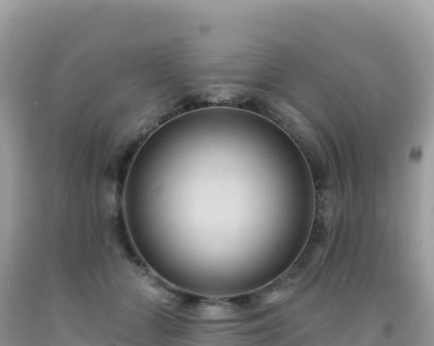 X0000092030510200709131622