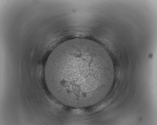 X0000092030511200709131622