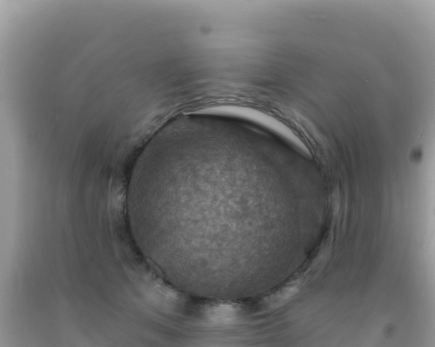 X0000092030513200709131622