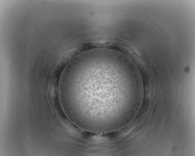 X0000092030515200709131622