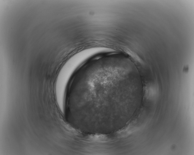 X0000092030517200709131622