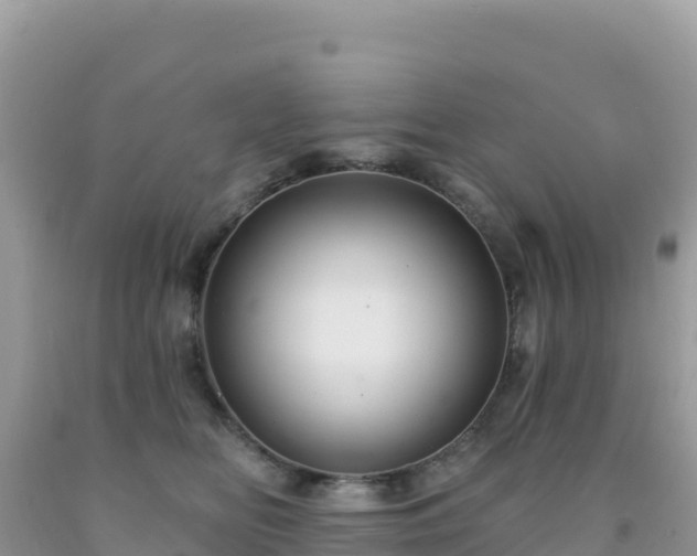 X0000092030518200709131622