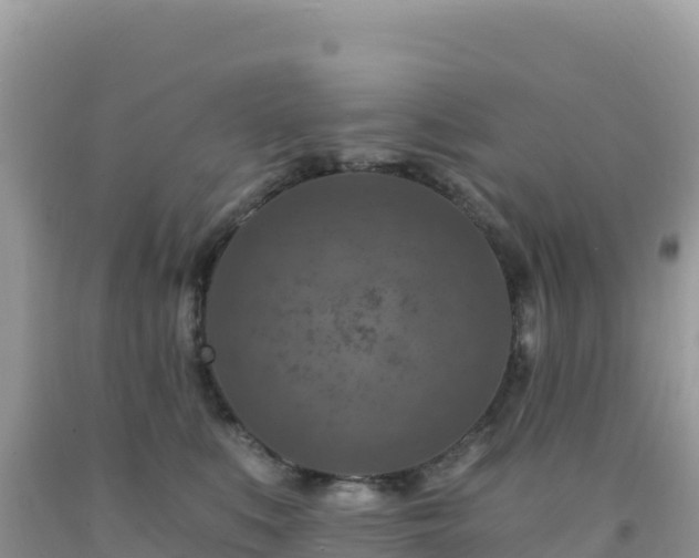 X0000092030519200709131622