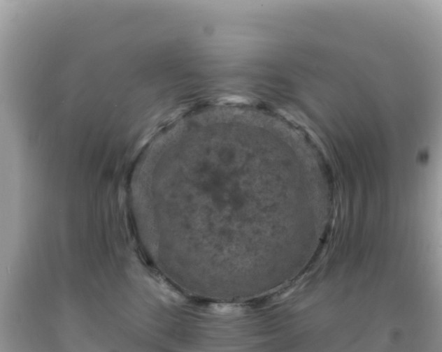 X0000092030520200709131622