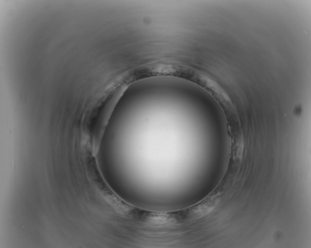 X0000092030521200709131622