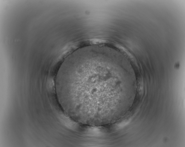 X0000092030523200709131622