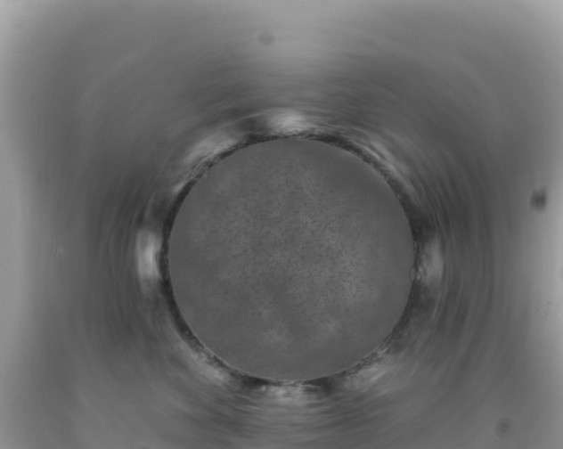 X0000092030524200709131622