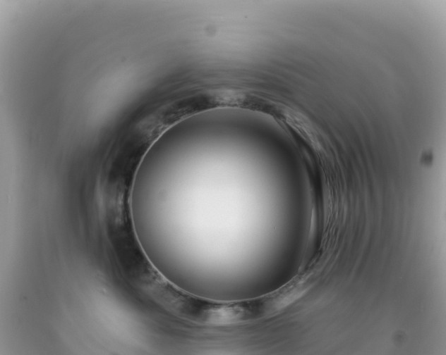 X0000092030525200709131622