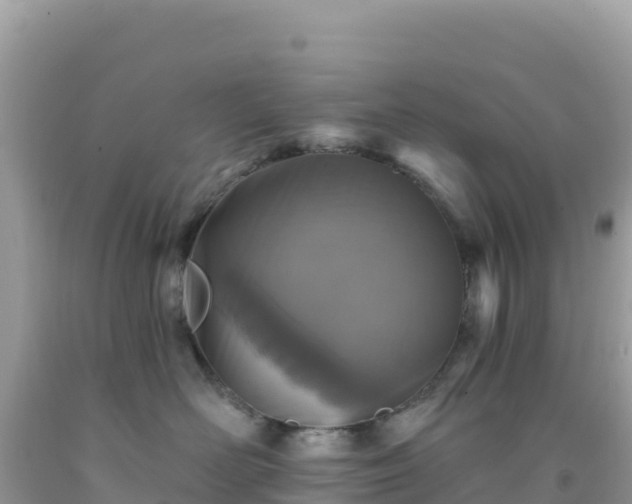 X0000092030526200709131622