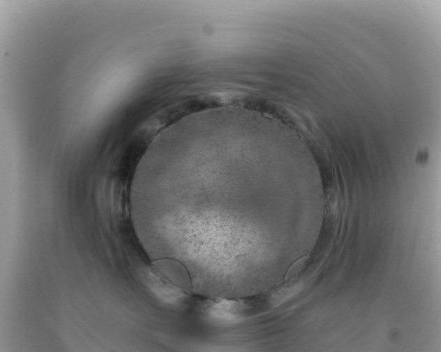 X0000092030527200709131622