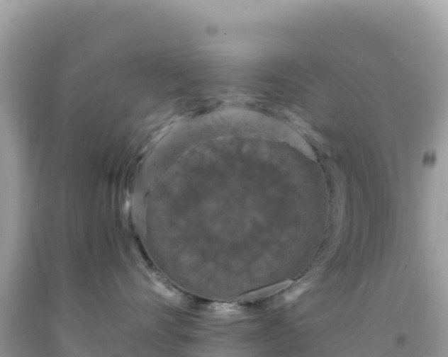 X0000092030528200709131622