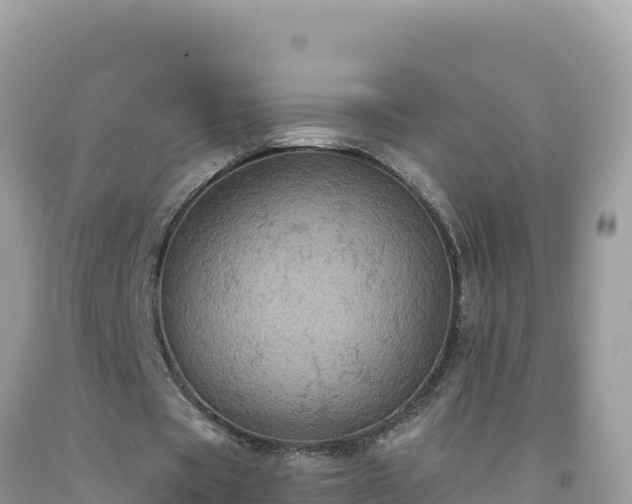 X0000092030529200709131621