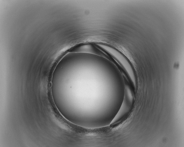 X0000092030530200709131621