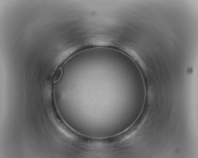 X0000092030533200709131621