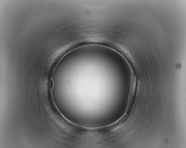X0000092030535200709131621