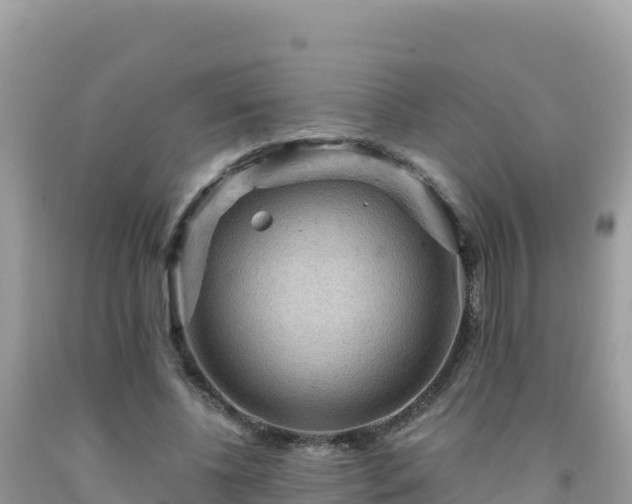 X0000092030540200709131621