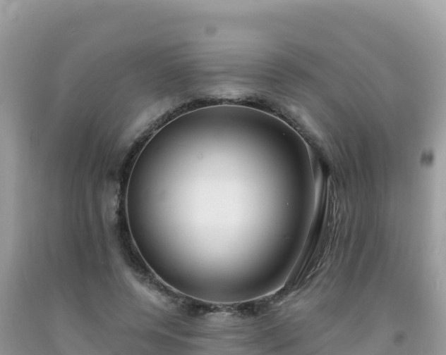 X0000092030544200709131621