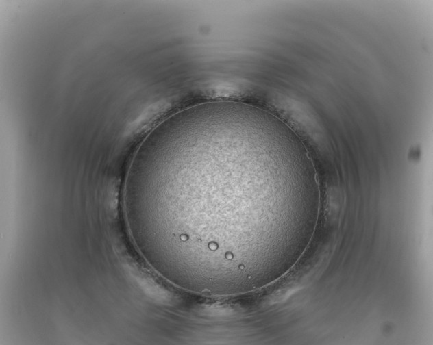 X0000092030545200709131621