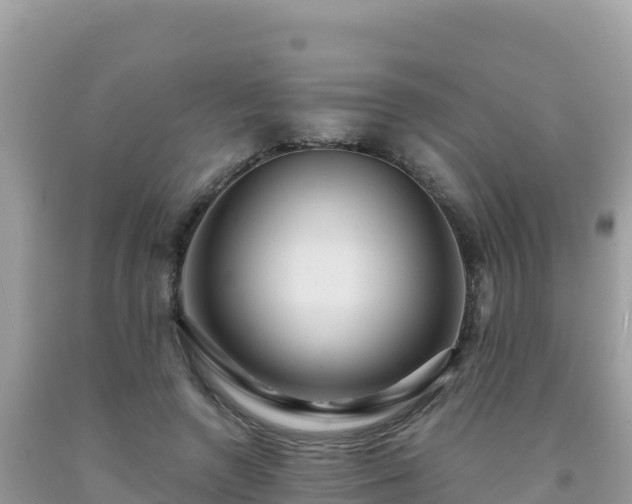 X0000092030546200709131621