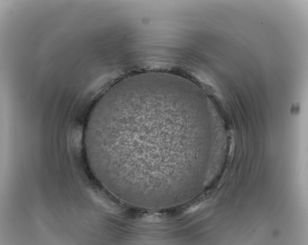 X0000092030550200709131621