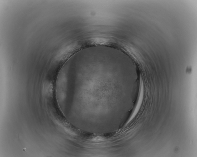 X0000092030551200709131621