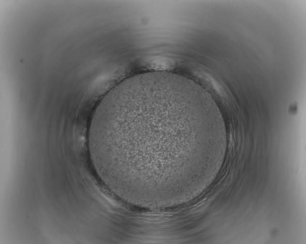 X0000092030553200709131621