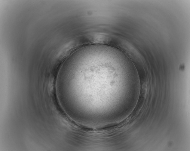 X0000092030554200709131621