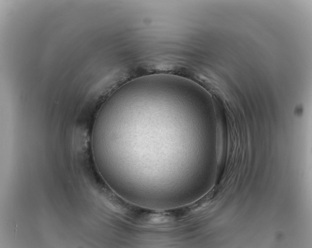 X0000092030555200709131621