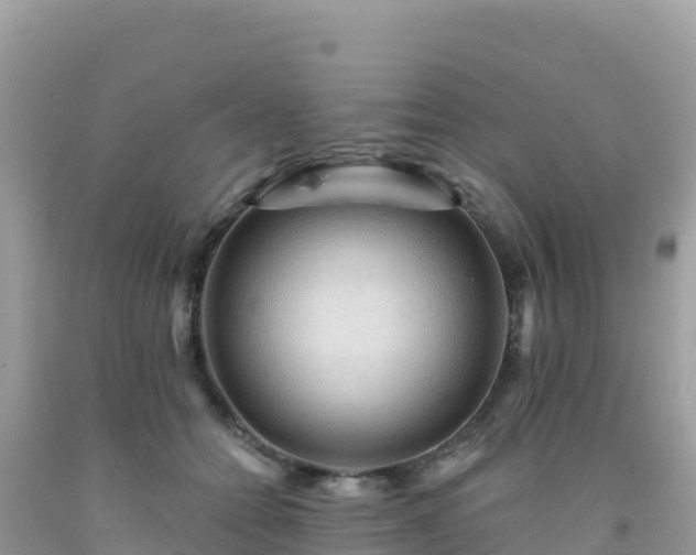 X0000092030558200709131621