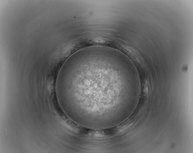 X0000092030559200709131621