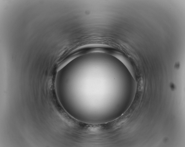 X0000092030560200709131621