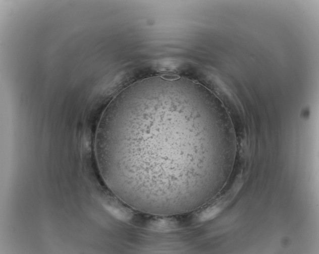 X0000092030561200709131621