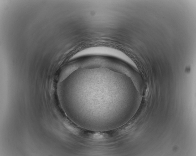 X0000092030566200709131622