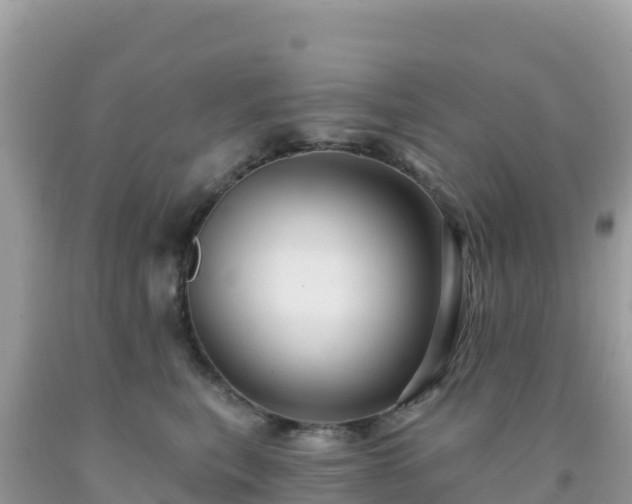 X0000092030567200709131622