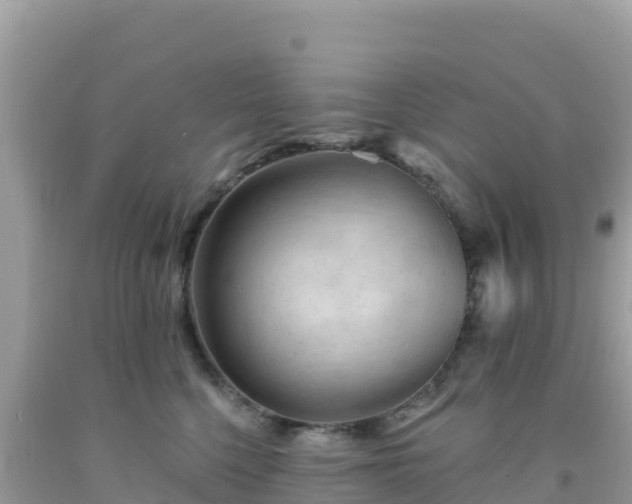 X0000092030568200709131622