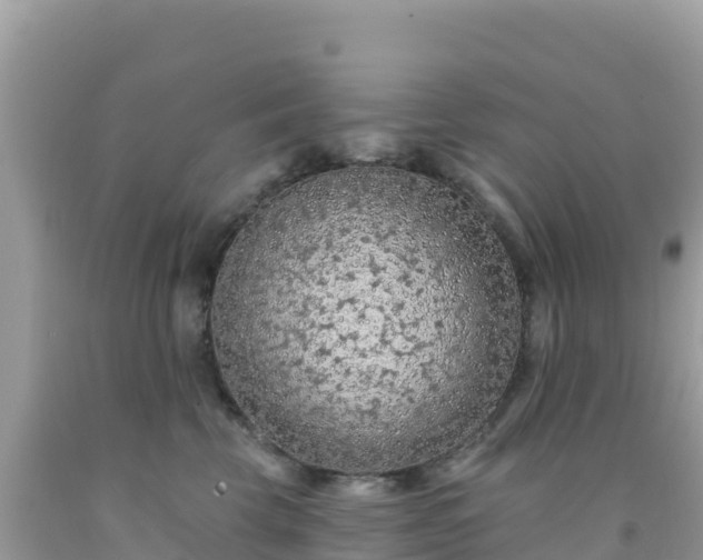 X0000092030569200709131622