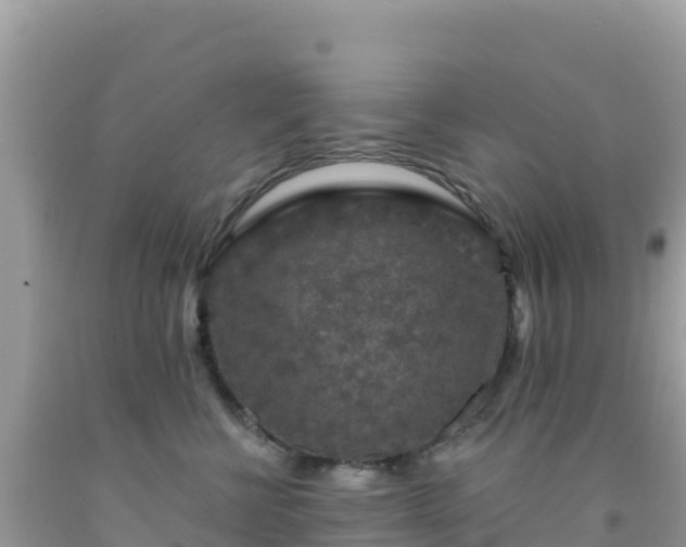 X0000092030570200709131622