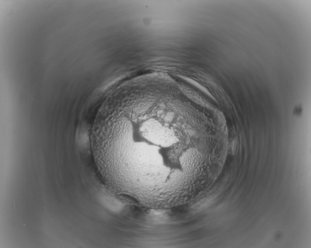 X0000092030573200709131622