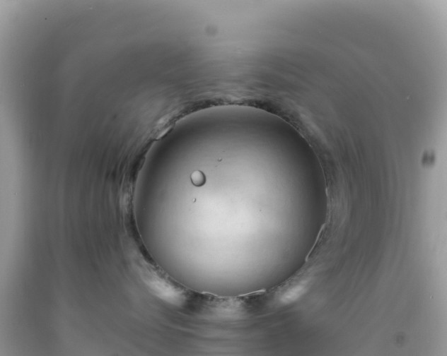 X0000092030576200709131622